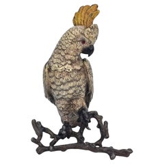Calamaio a forma di cacatua, austriaco, dipinto a freddo circa 1900