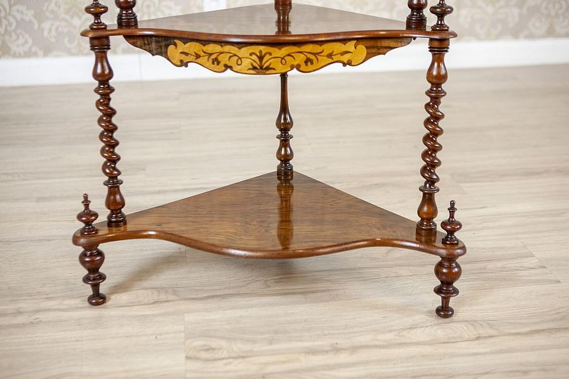 Inlaid Corner Étagère from the Late 19th Century For Sale 5