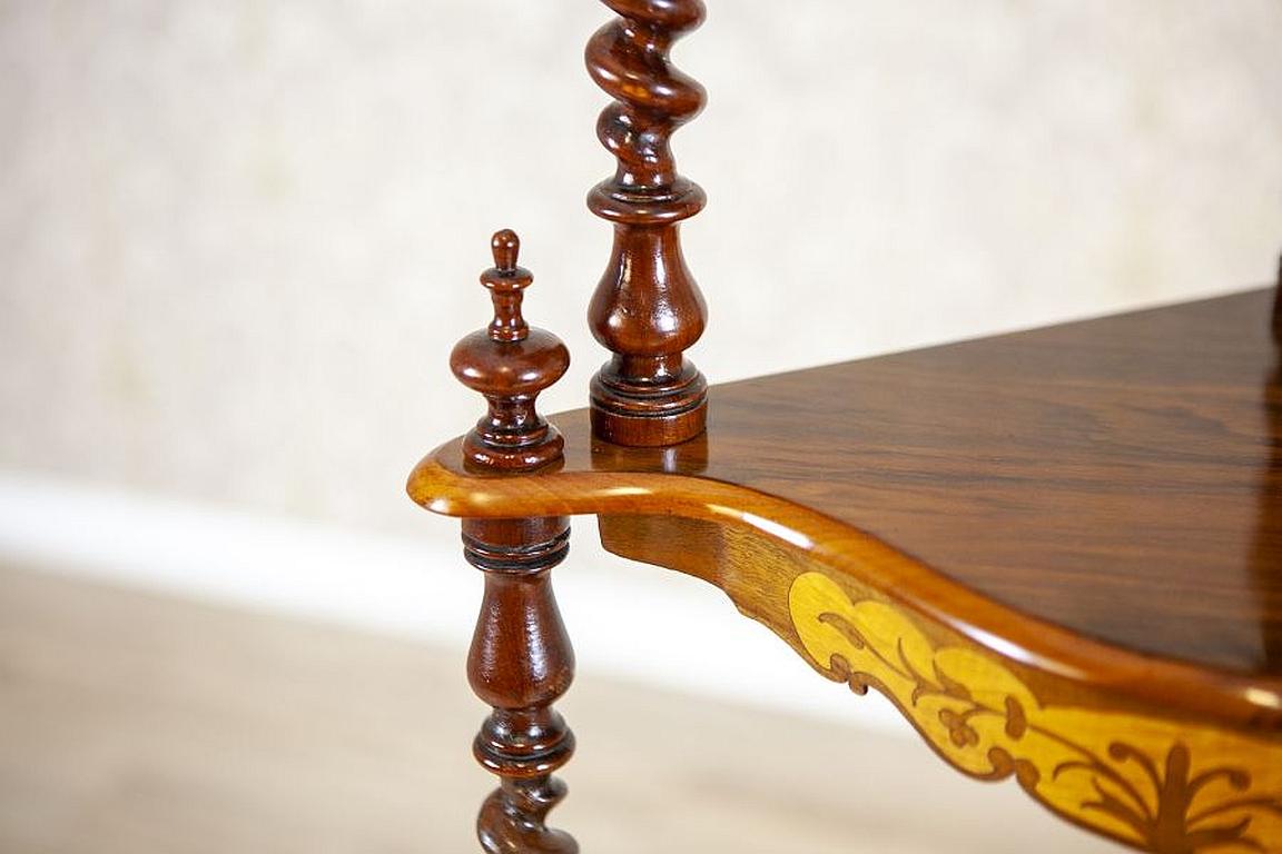 Inlaid Corner Étagère from the Late 19th Century For Sale 7