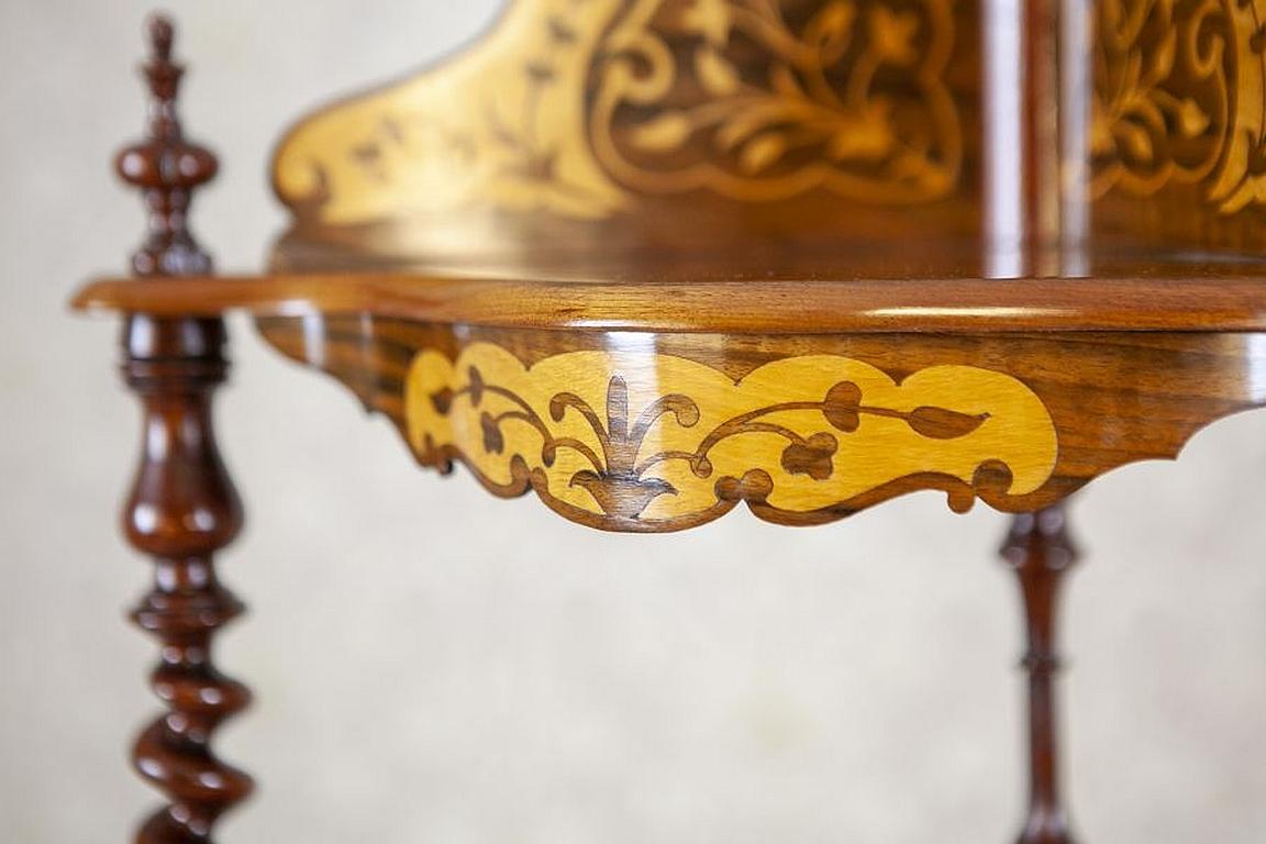 Inlaid Corner Étagère from the Late 19th Century For Sale 2