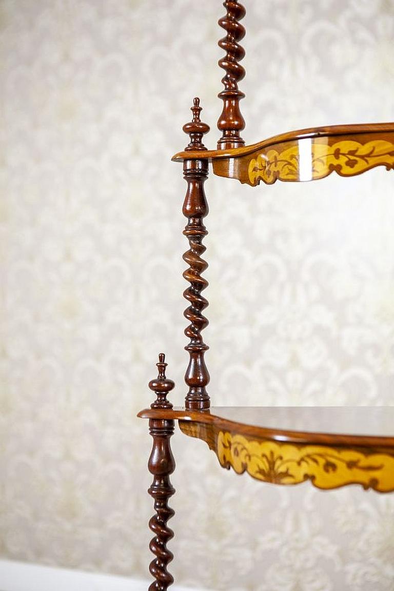 Inlaid Corner Étagère from the Late 19th Century For Sale 4