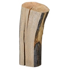 Inlaid Firewood #9 Firewood, Nails