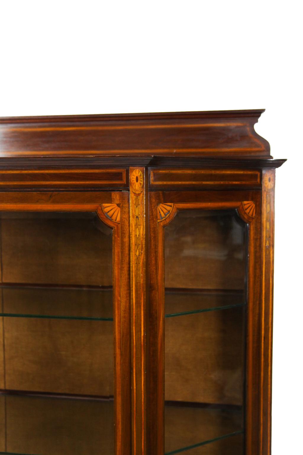 Inlaid Hepplewhite style display cabinet, intensely inlaid with bands in gallery, frieze, door and sides, stiles with inlaid medallions above bell flower motifs, beveled glass door and sides above lower shelf, interior with glass shelves and