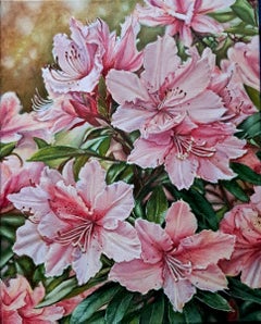 Rosa Zärtlichkeit