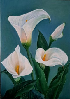 White Calla Lilies