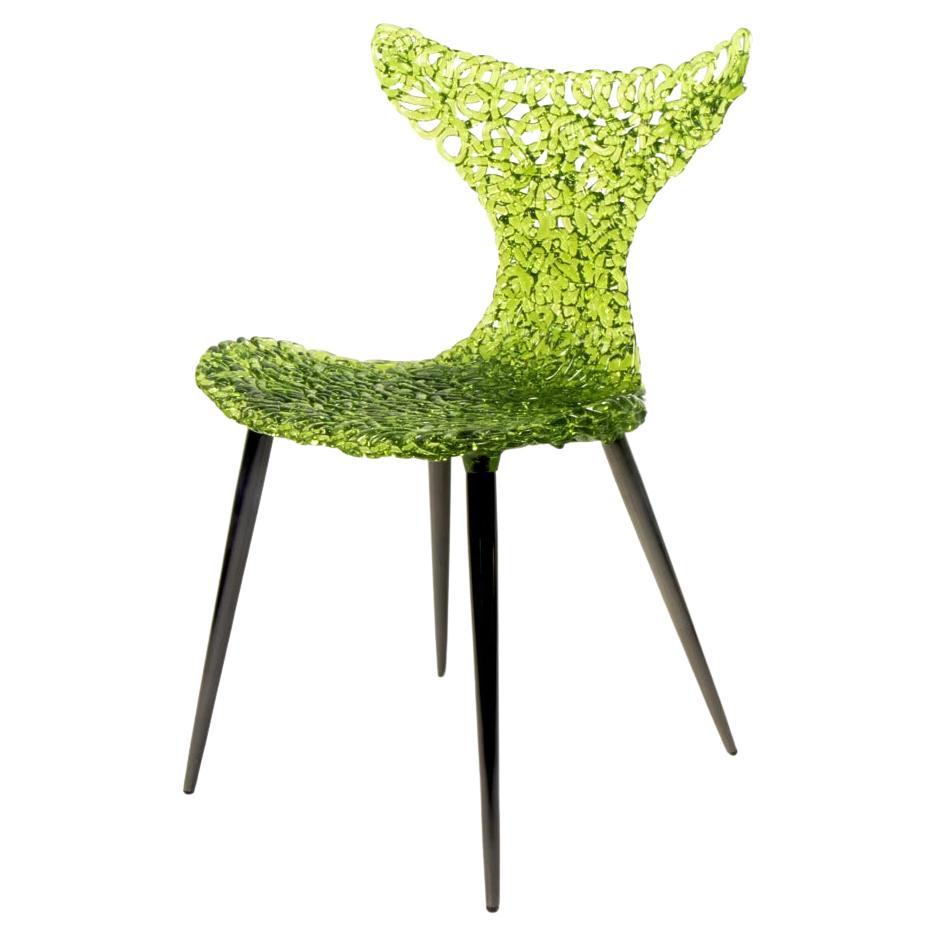 Ispirata ai movimenti aggraziati di un pesce, la sedia Innovative presenta un design giocoso a coda rovesciata, che cattura sia la fluidità che l'eleganza. Questa sedia moderna è molto più di una semplice soluzione per sedersi: è un cattura-luci che
