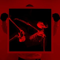 Innamorarsi (Ed. 36/200)