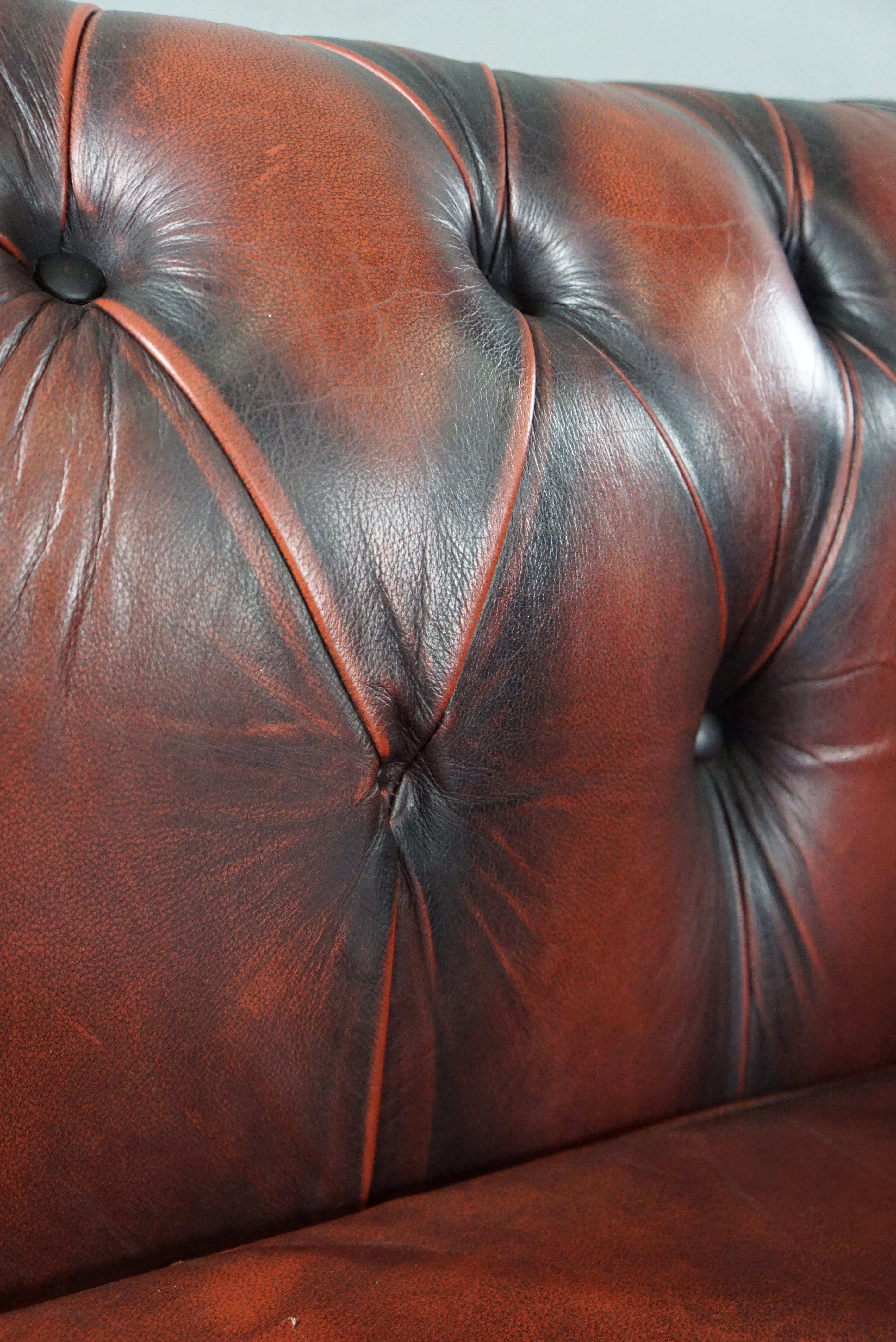 Insanely colored red cow leather Chesterfield sofa, spacious 2 seater For Sale 4