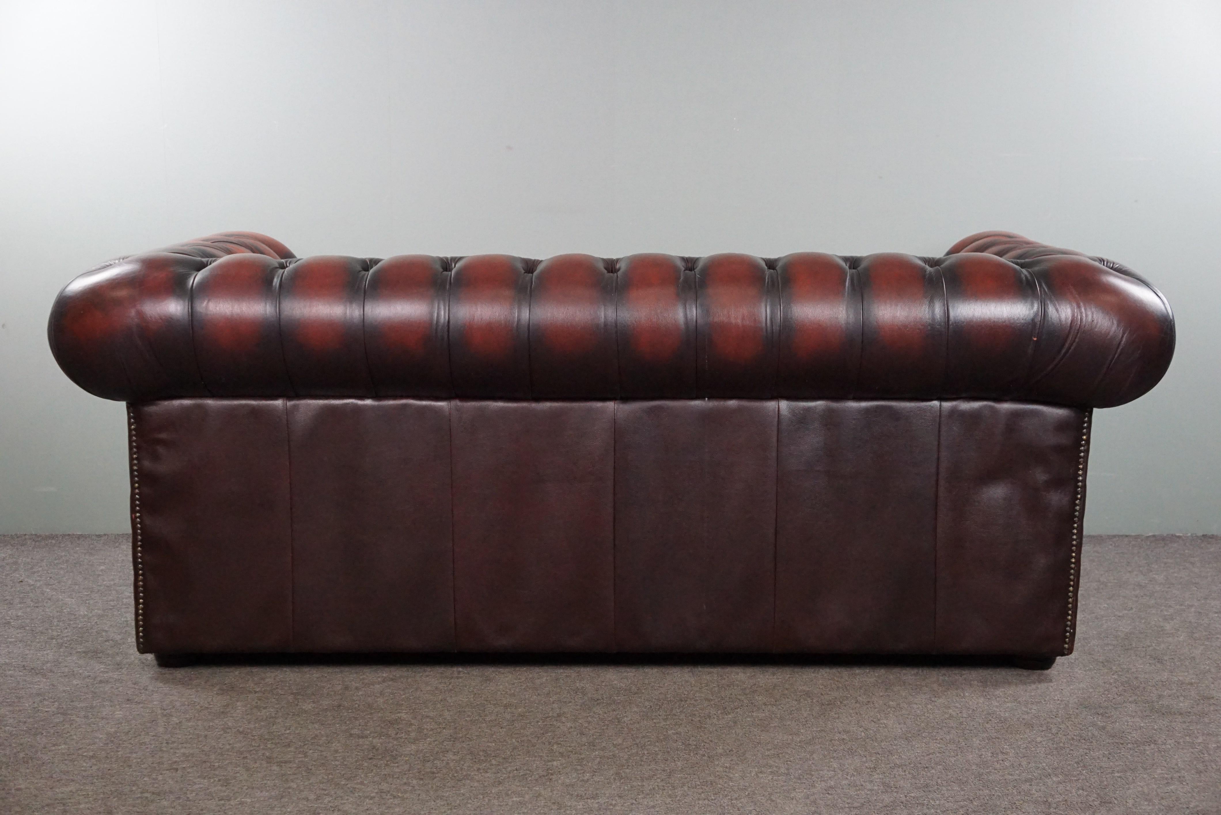 cow skin couch