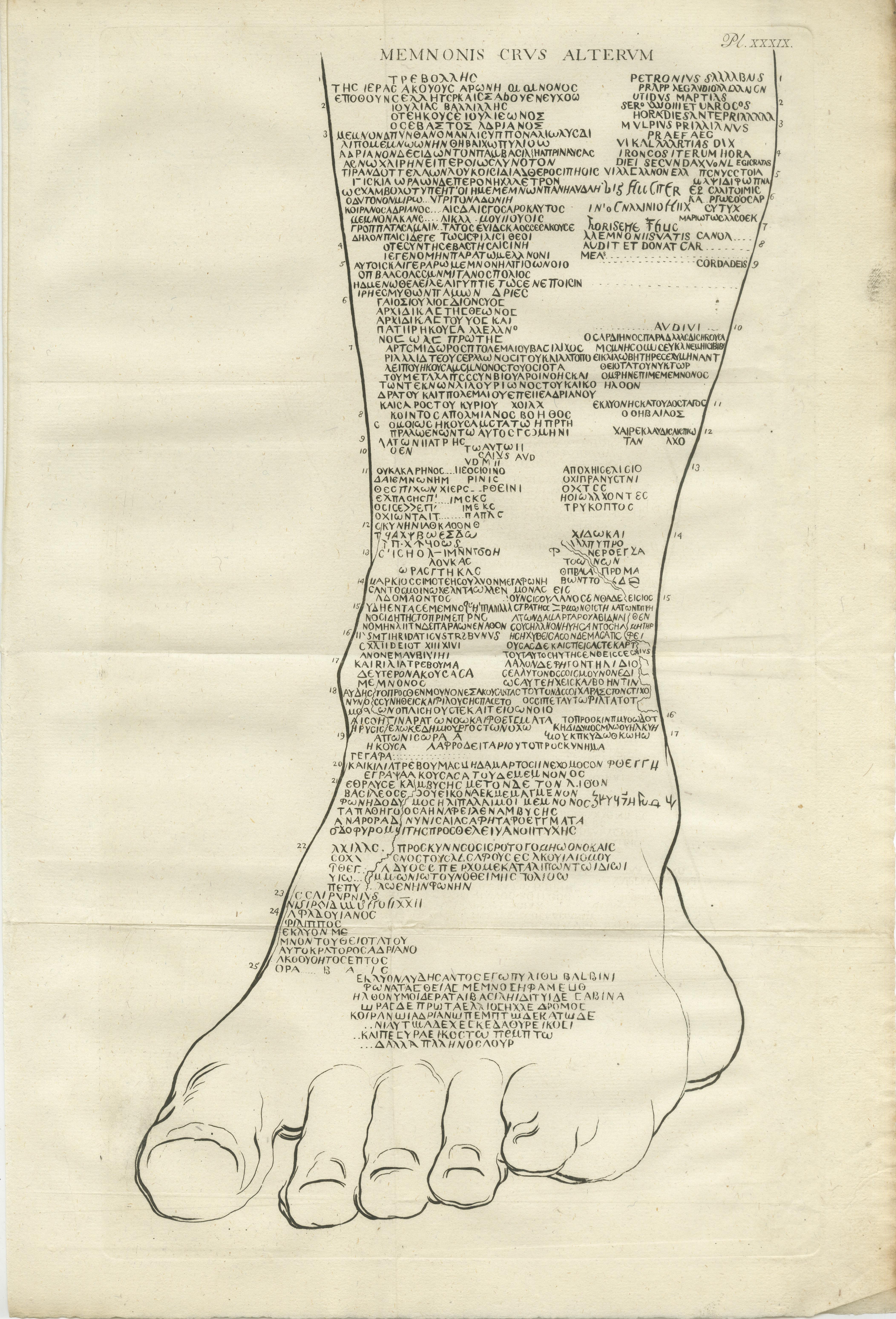 Inscripciones en las piernas del Coloso de Memnón - Graffiti en griego y latín

Descripción:
Este fascinante grabado pareado documenta las inscripciones encontradas en las patas del famoso Coloso de Memnón, la enorme estatua sedente cerca de Luxor