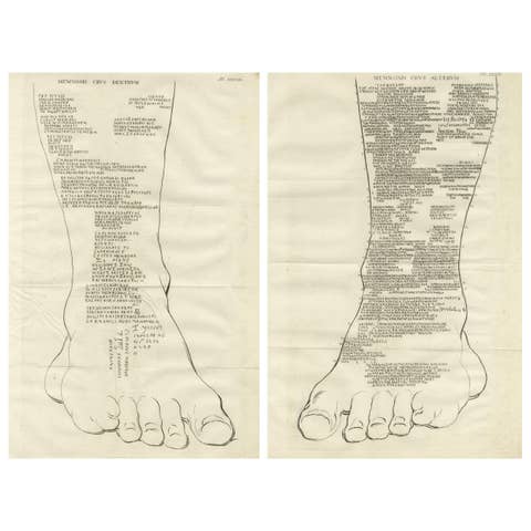 Inscriptions on the Legs of the Colossus of Memnon – Greek & Latin Graffiti