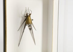 Insecto 009, Escultura Ensamblaje enmarcada de la colección de Thierry Despont