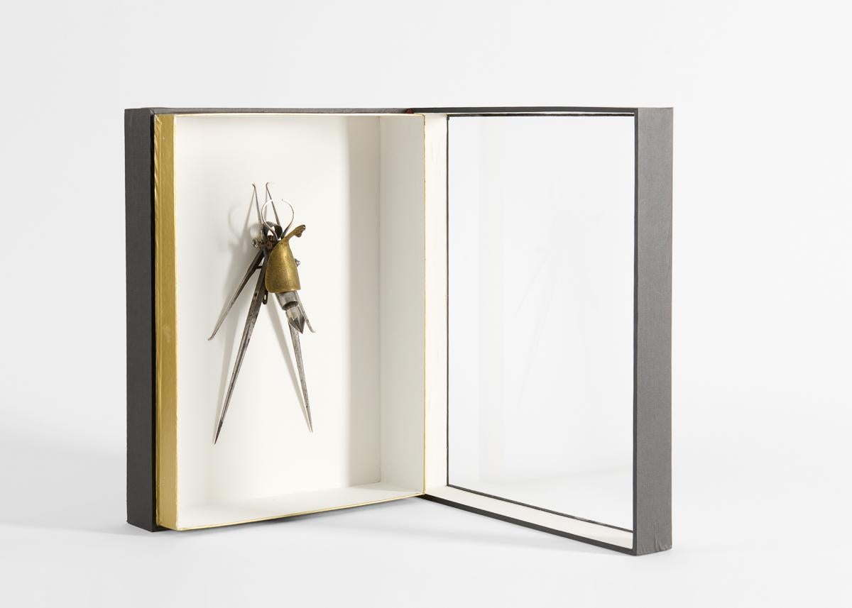 Américain Insect 009, sculpture d'assemblage encadrée