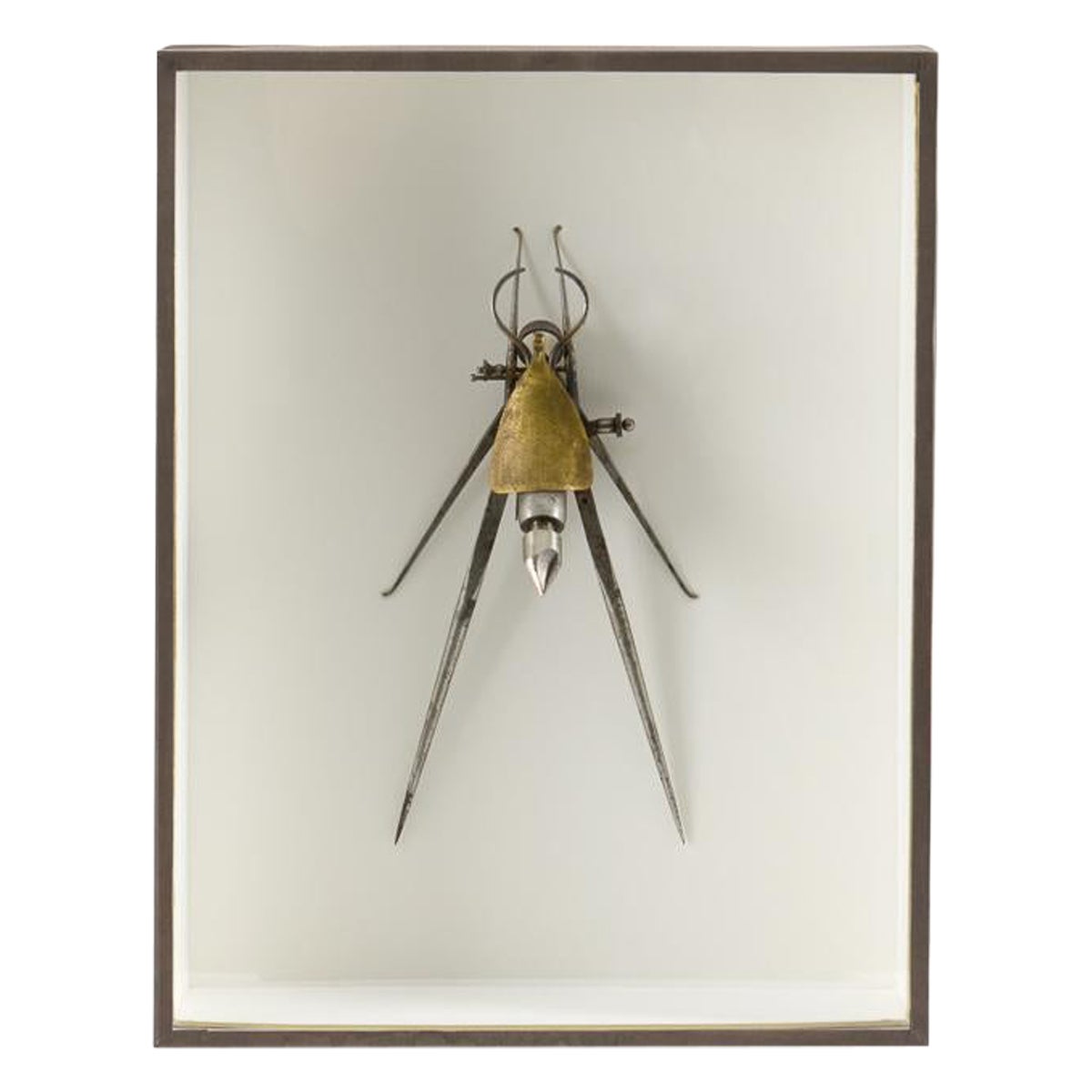 Insect 009, gerahmte Assemblage-Skulptur