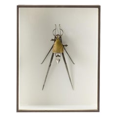 Insect 009, gerahmte Assemblage-Skulptur