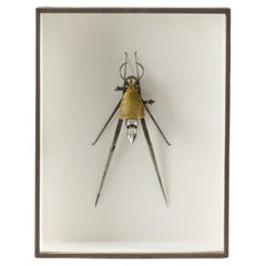 Insect 009, gerahmte Assemblage-Skulptur