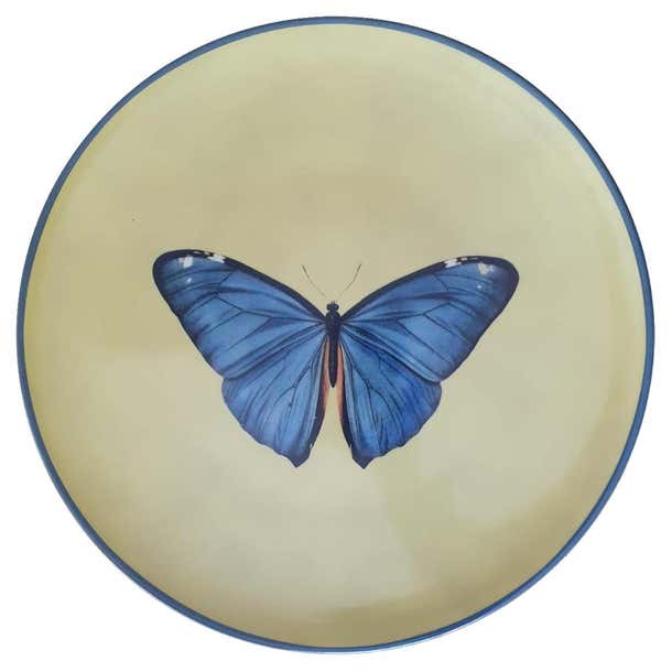 Insect Plate Design Porcelain Dinner Plate - Butterfly, Insect Collection For Sale at 1stDibs