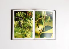 Insectissimus: Vols I & II, by Thierry Despont, Pair of Large Art Books, 2023