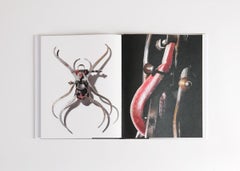 Insekten von Thierry Despont, Großes Kunstbuch, Vereinigte Staaten, 2008