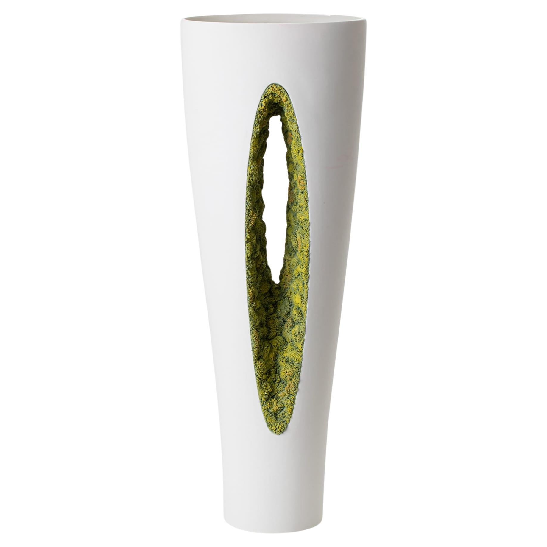 Grüne Moss-Vase von innen heraus