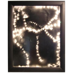 "Insight, " Large-Format Framed Gelatin Silver Photogram, 2/4 by Michael Flomen