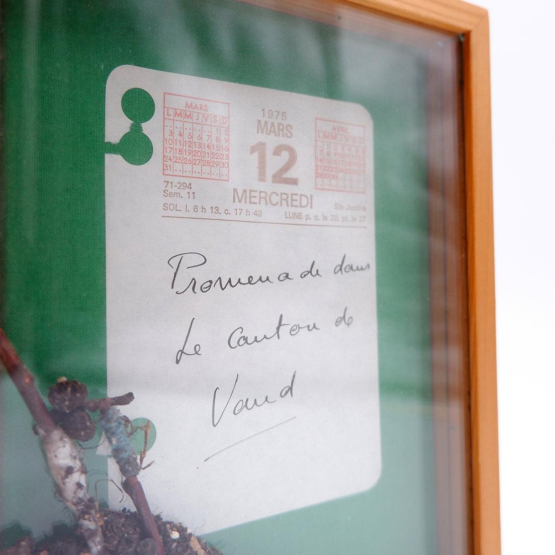 Installazione 