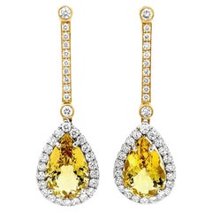 Drop Earrings