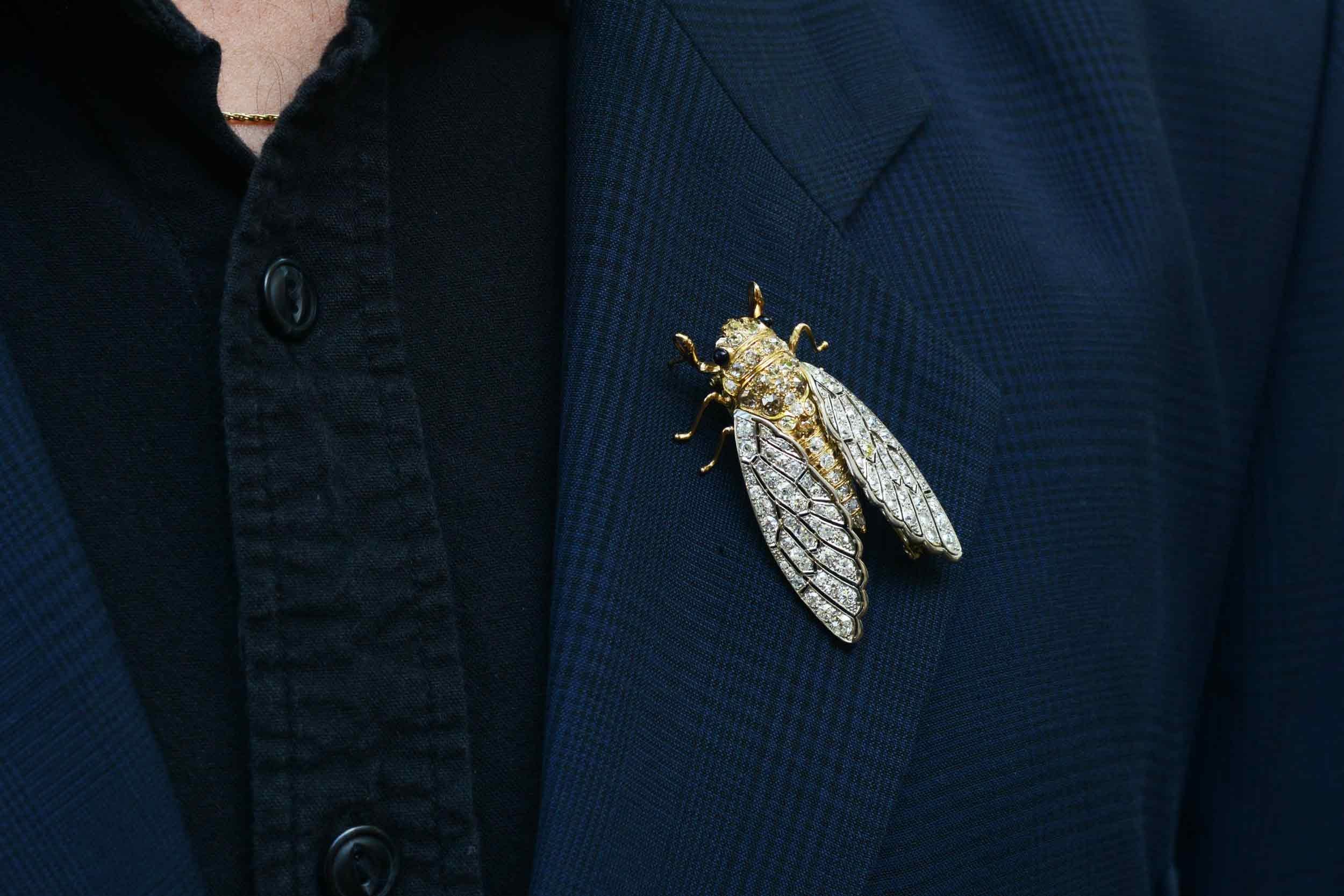 Victorian Interesting Insect Cicada Diamond Brooch Pin For Sale