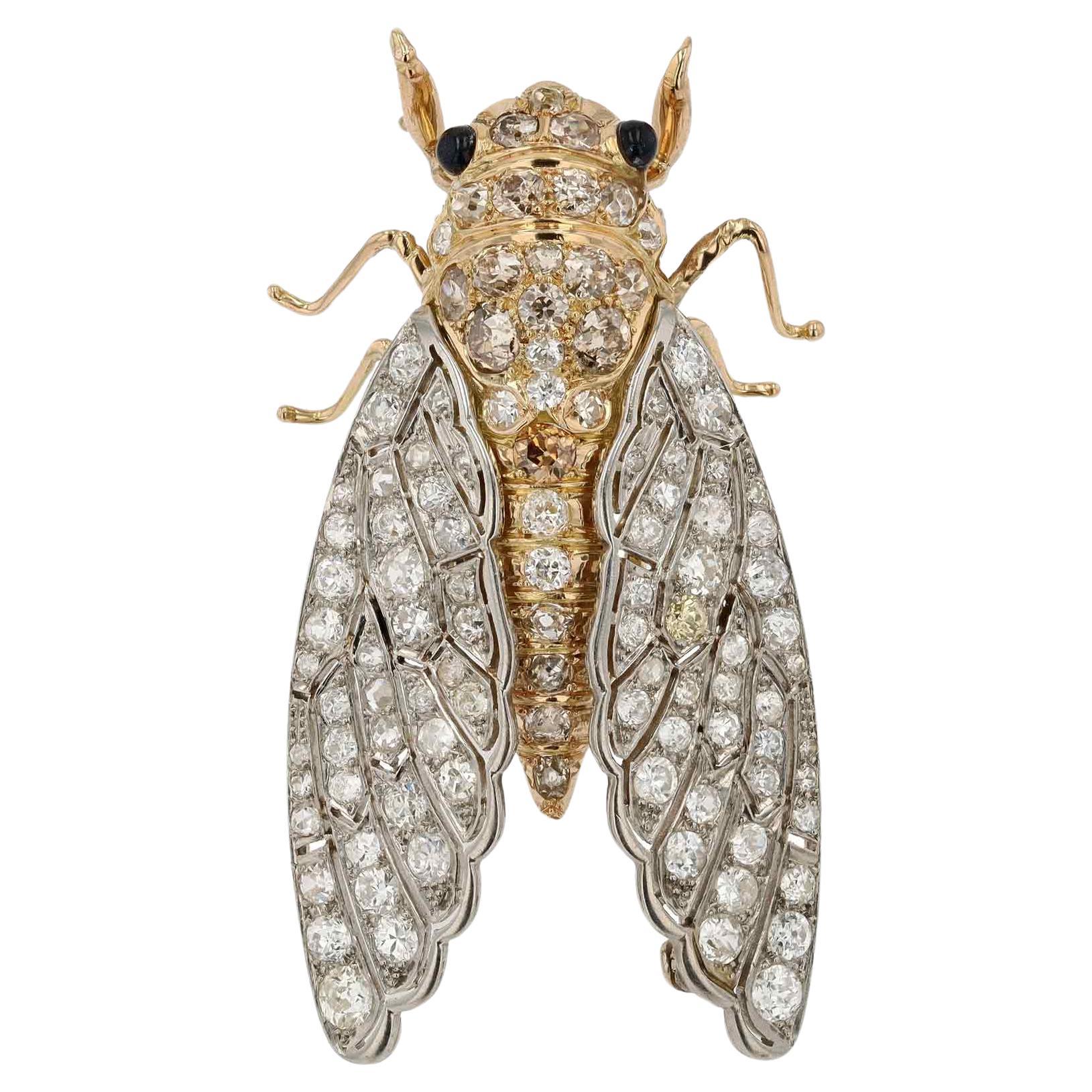 Interesting Insect Cicada Diamond Brooch Pin For Sale