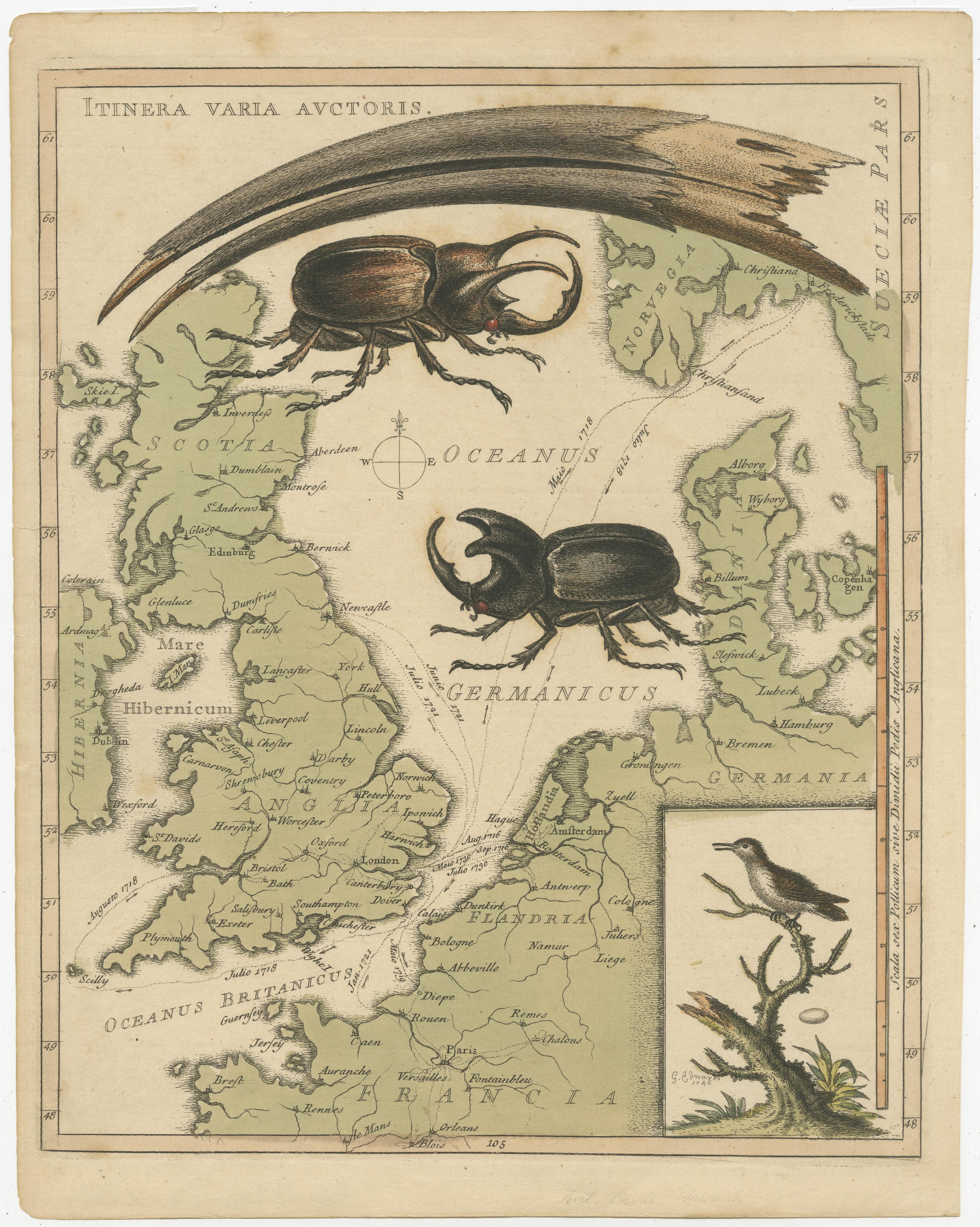 Antique map titled 'Itinera Varia Auctoris'. Very interesting map of Great Britain and Northern Europe. The map shows Edwards' journeys between 1716-1730 to study his beloved birds and other natural creatures, including Holland in 1716 and again in