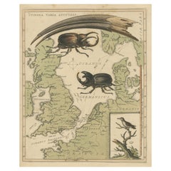 Interesting Map of Great Britain and Northern Europe with various Illustrations