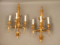 Interesting Pair of Late 19th Century Gilt Bronze Three Light Sconces