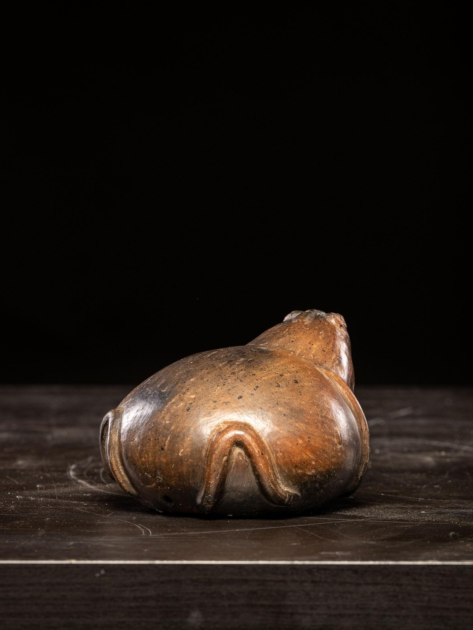 Interessante rana di terracotta Pre-Columbian trasformata in un salvadanaio In condizioni buone in vendita a Leuven , BE