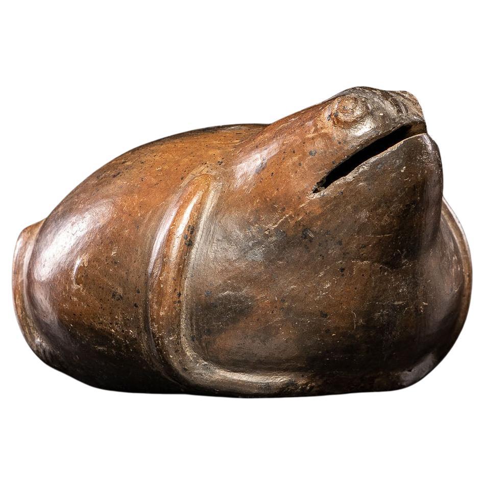 Interesting pre-Columbian terracotta frog transformed into a piggy bank