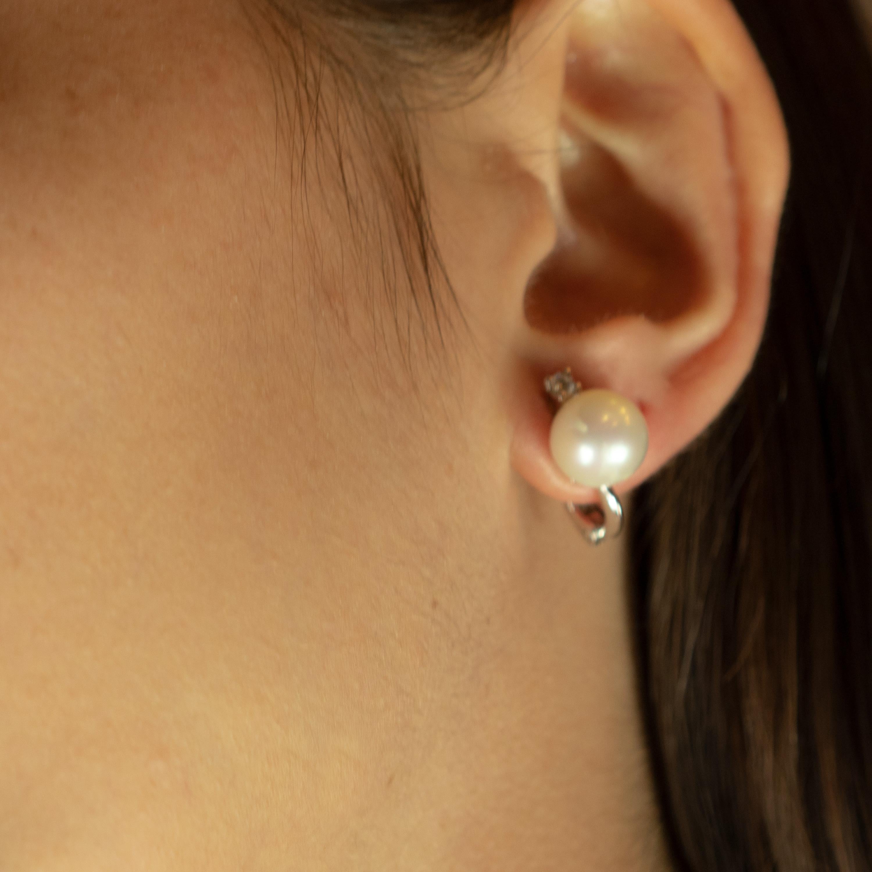 Italienische handgefertigte schöne Südsee-Ohrringe. Ein einzigartiges und zeitloses Design mit einem Nietenbesatz aus 18-karätigem Weißgold ist neben der Perle platziert und vermittelt einen komfortablen und prächtigen künstlerischen Eindruck des