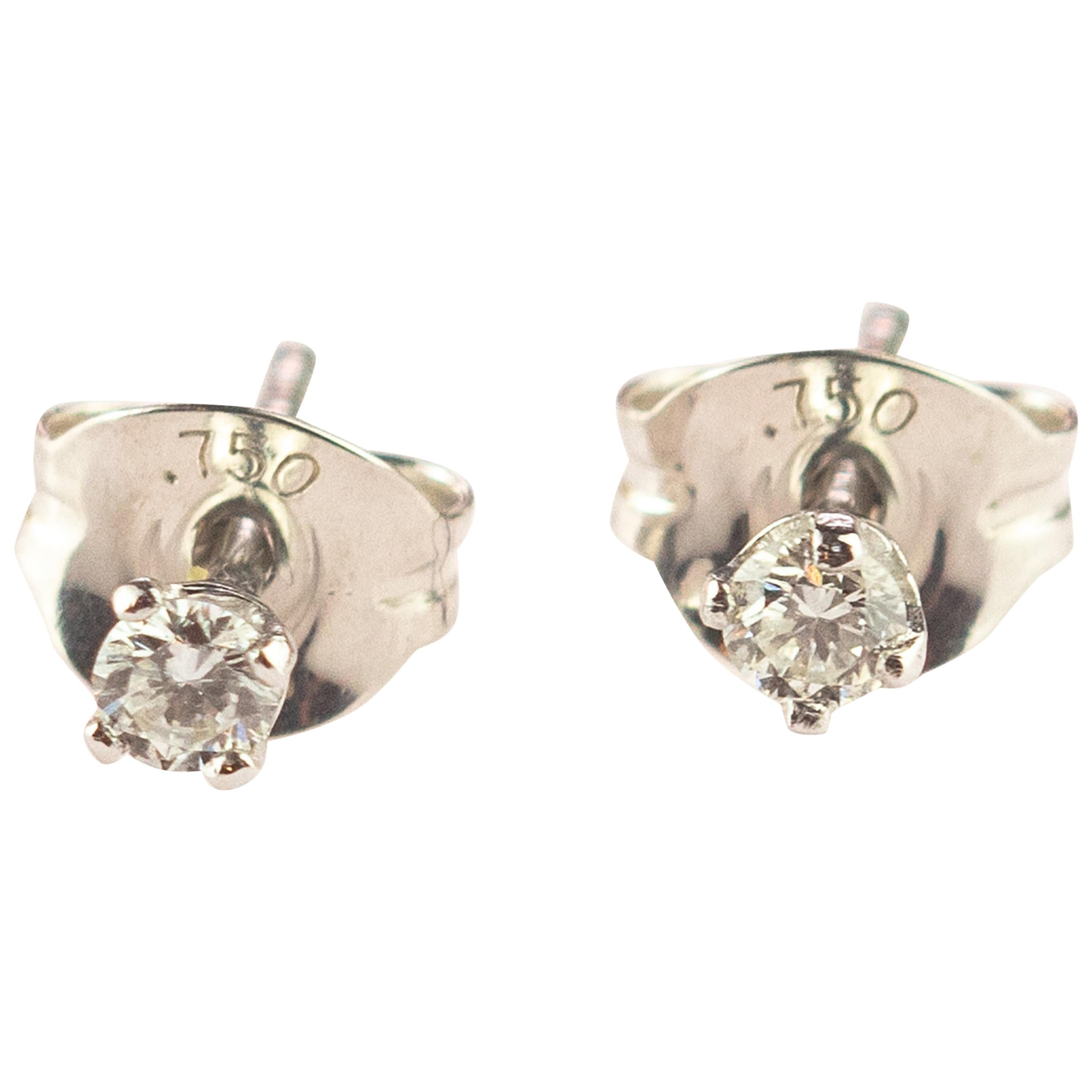 Intini Jewels Diamond Point of Light 18 Karat White Gold Cocktail Stud  Earrings For Sale at 1stDibs