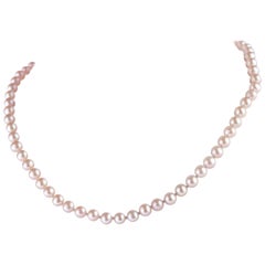 Intini Jewels Freshwater Pearl 14 Karat White Gold Beaded Choker Chic Necklace
