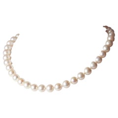 tini Jewels: 18 Karat Gelbgold Perlen-Halskette AAA mit Süßwasserperlen besetzt