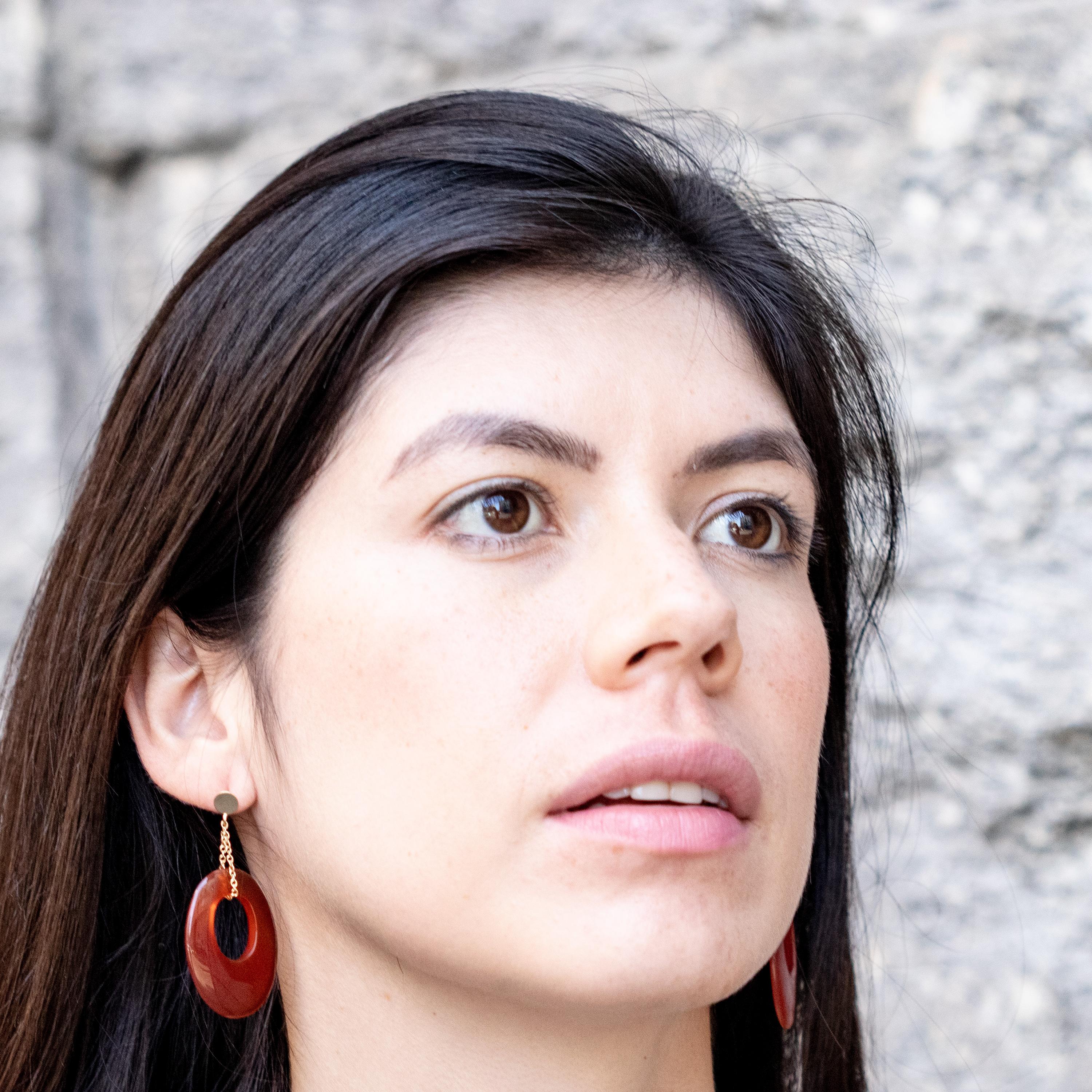 tini Jewels Oval Karneol Nussbaum 18 Karat Gelbgold Tropfenohrringe mit Anhängern im Angebot 6