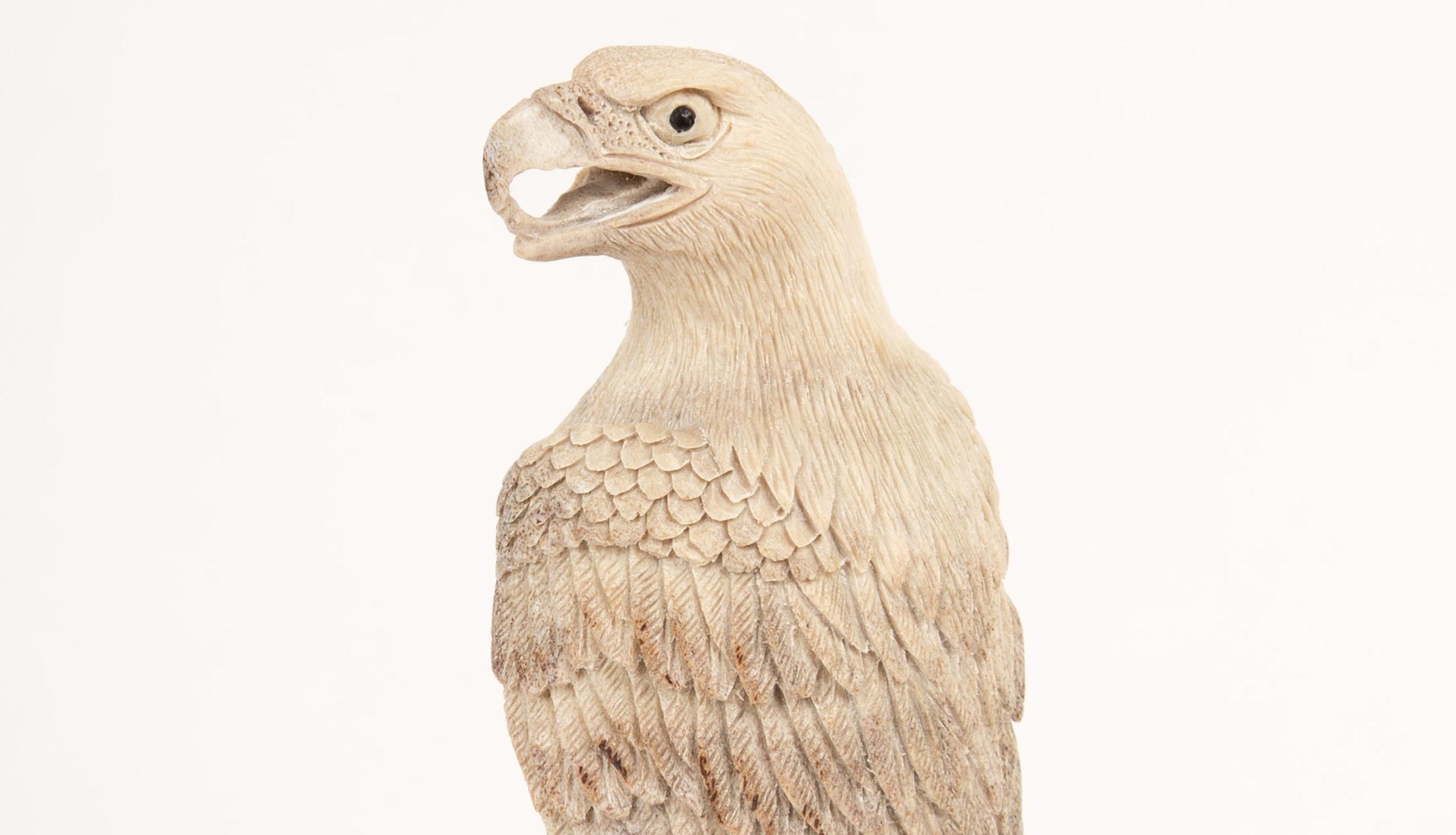 Indonésien Aigle sculpté dans du bois d'orignal provenant d'une coulée naturelle en vente