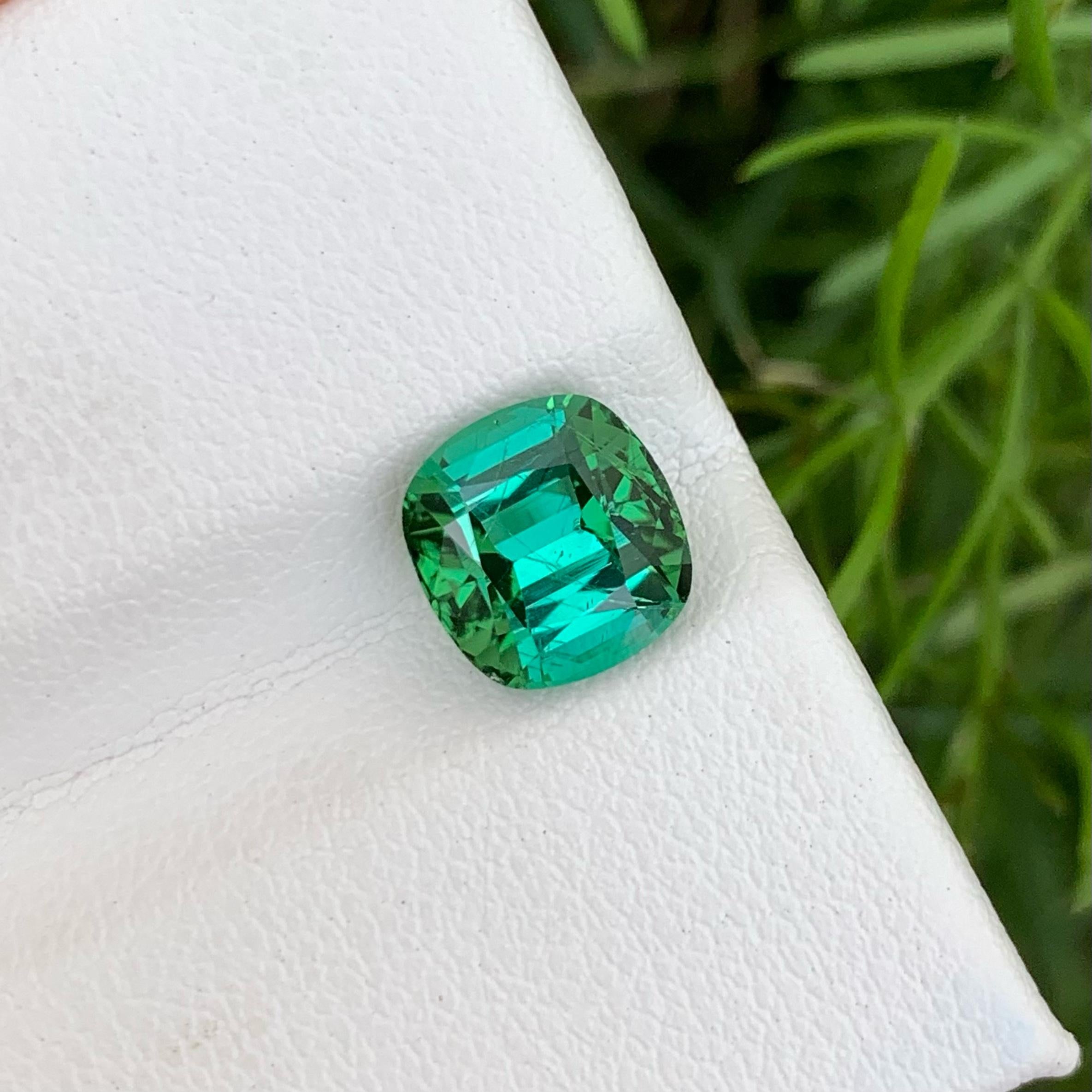 Weight: 2.55 carats 
Dimensions: 8.2 x 7.8 x 5.6 mm
Treatment: none 
Origin Afghanistan 
Clarity SI 
Shape Cushion 
Cut Fancy Cushion 

Perfect for any occasion, the Greenish Blue Tourmaline gemstone adds a touch of elegance and uniqueness to any