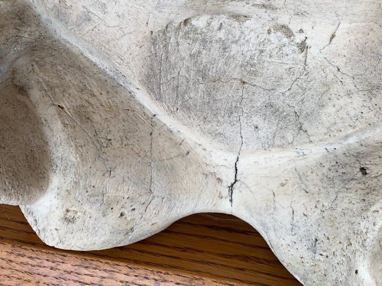 Inuit Fossilized Bone Carving at 1stDibs | inuit whale bone carving