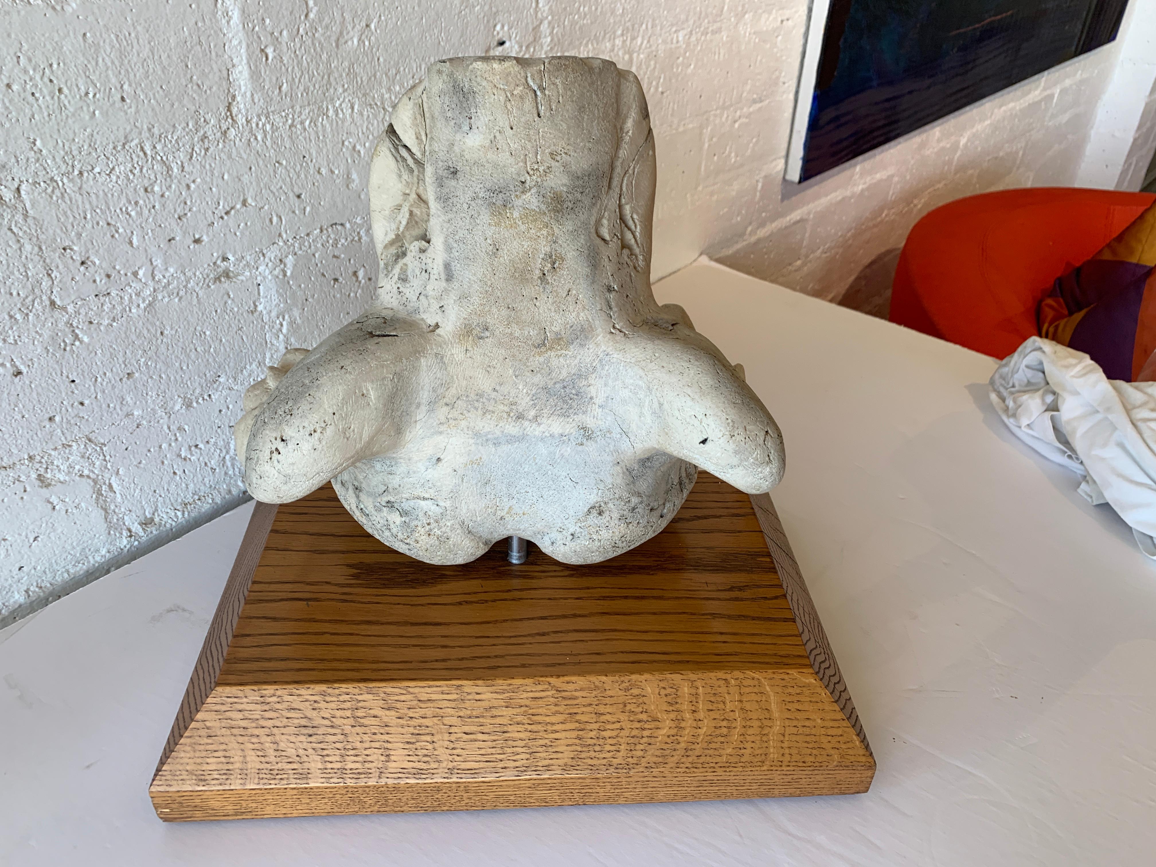 Inuit Fossilized Bone Carving In Good Condition In Palm Springs, CA