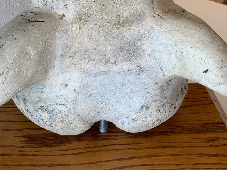 Inuit Fossilized Bone Carving at 1stDibs | inuit whale bone carving