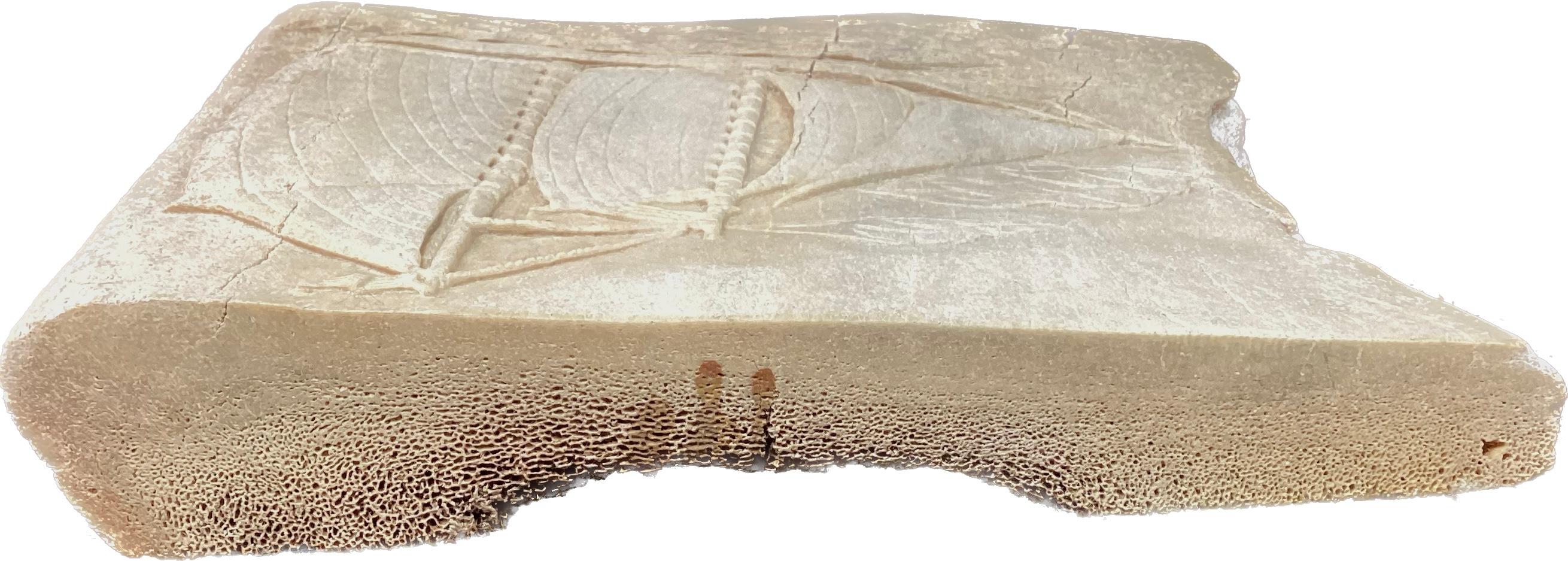 Inuit Fossilized Whale Bone Sculpture #13 3