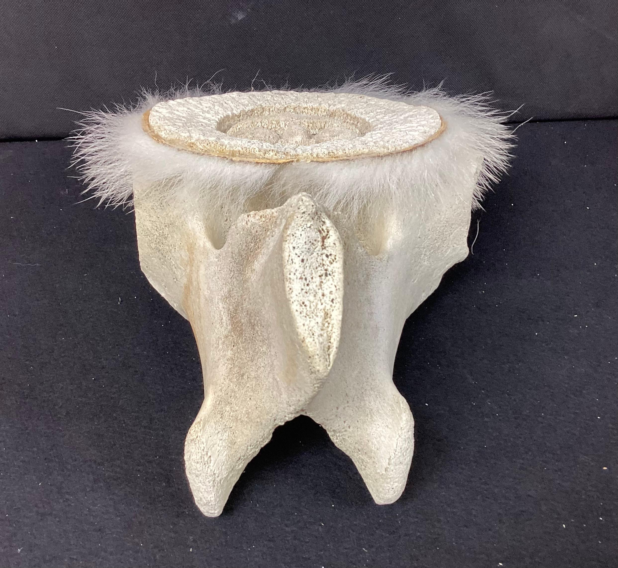 Organic Modern Inuit Fossilized Whale Bone Sculpture #14