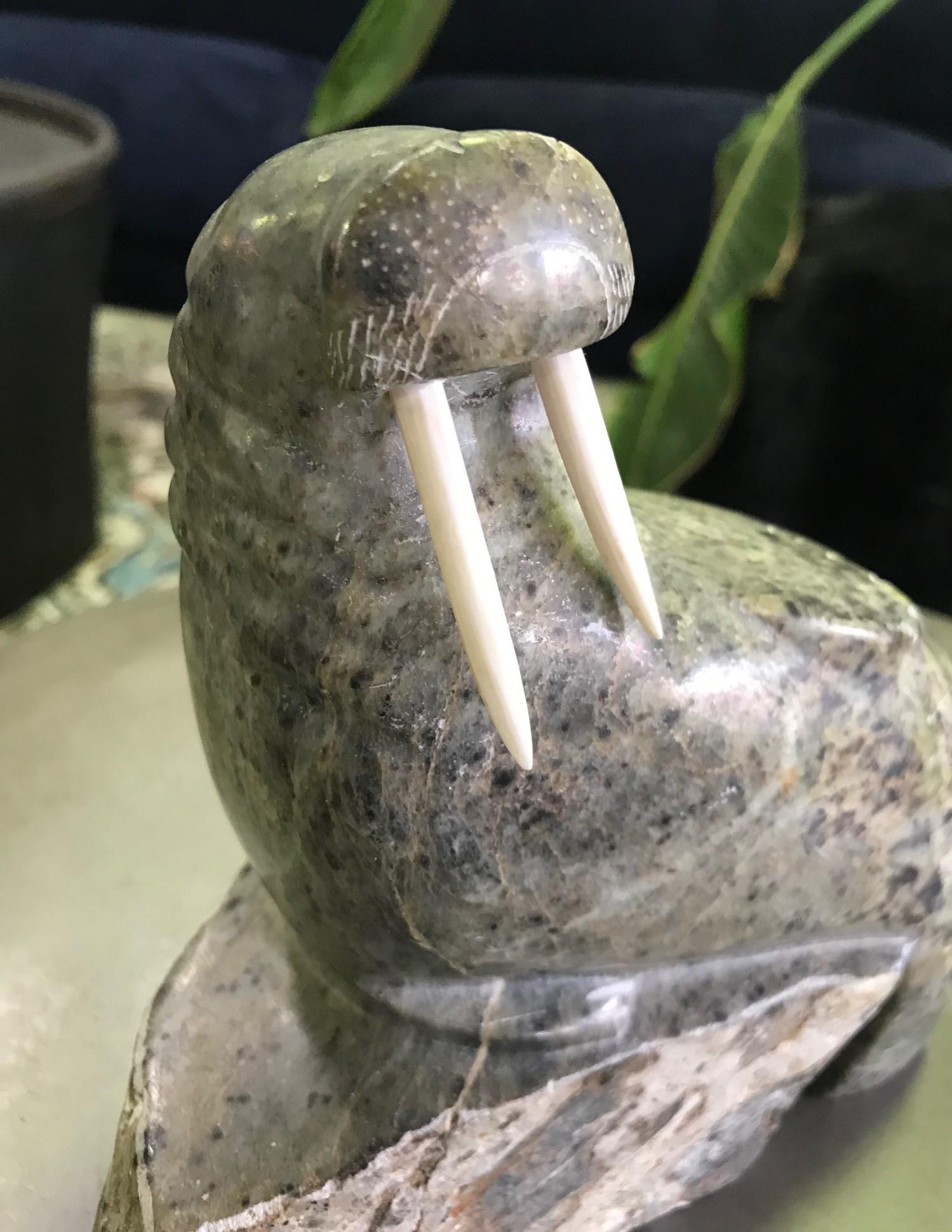 Canadian Inuit Native American Eskimo Stone Carved Walrus Sculpture with Tusks