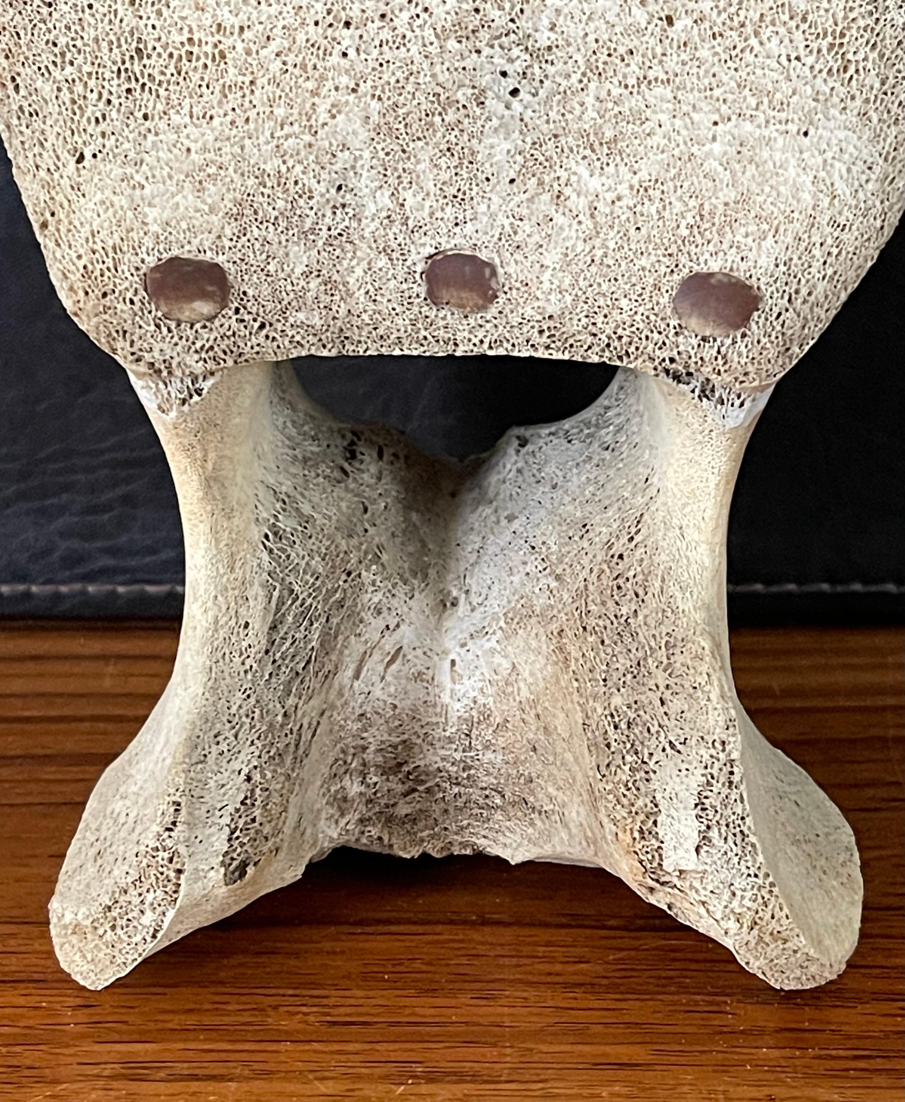 Inuit Whale Bone Vertebrae Hand Carved Two Sided Signed Sculpture 4