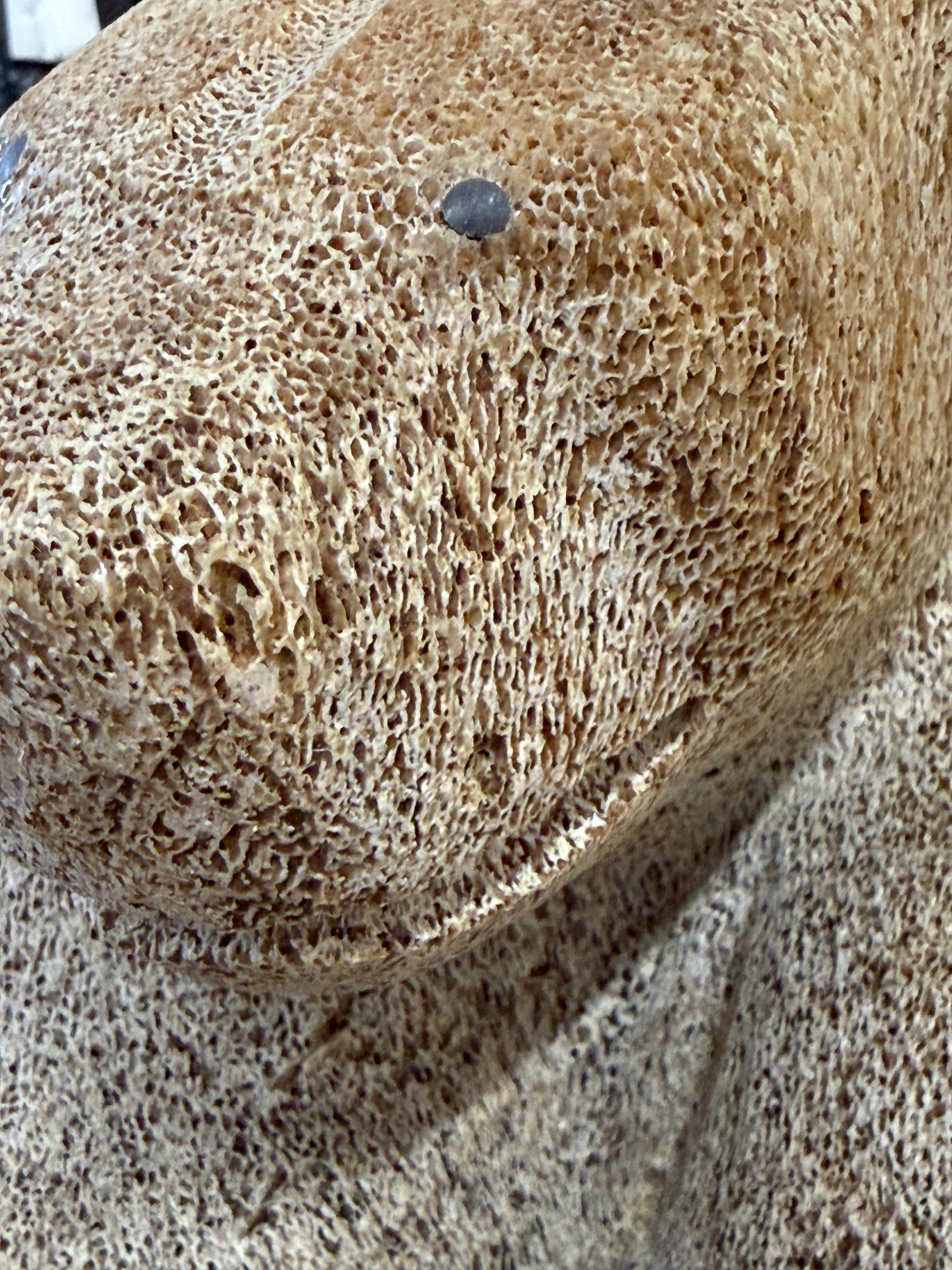 Inuit Wilson Oozeva Carving of Polar Bear en vente 6