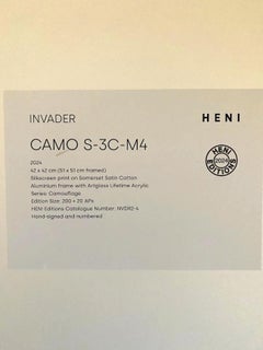 Invader - CAMO S-3C-M4, Arte di strada